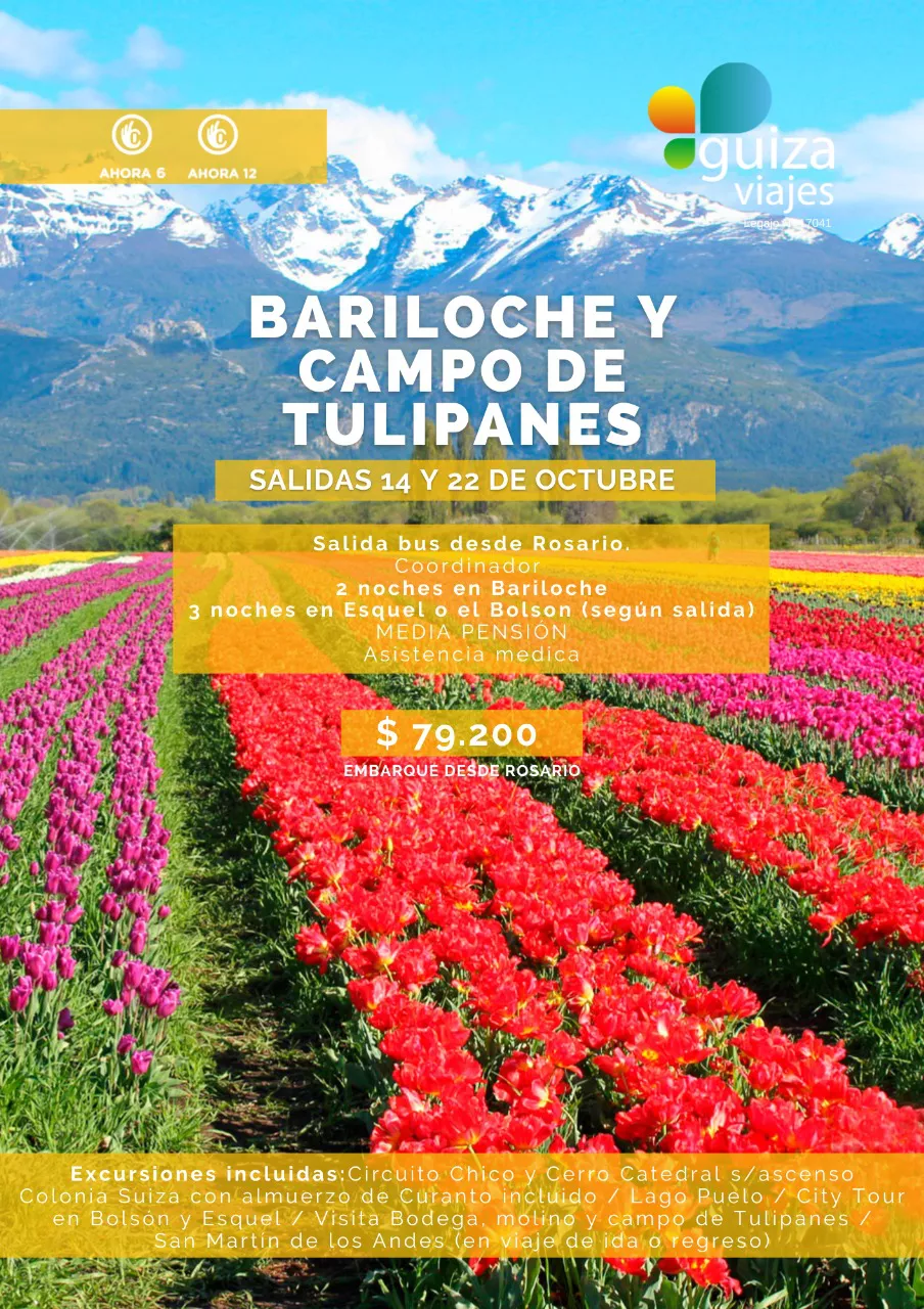 WhatsApp Image 2022-08-03 at 1.55.07 PM (1)