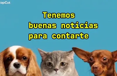 Video de WhatsApp 2025-07-29 a las 22.03.47_18d43d1b