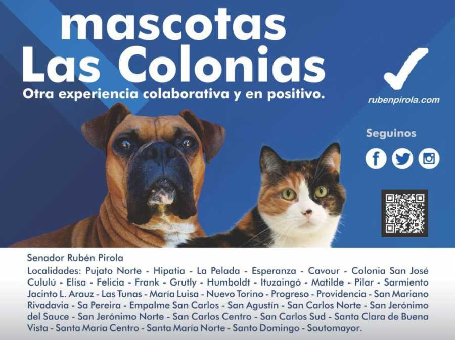 01022021-mascotas