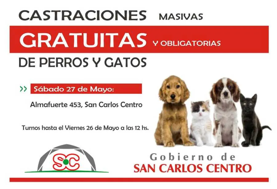 24052023-castraciones