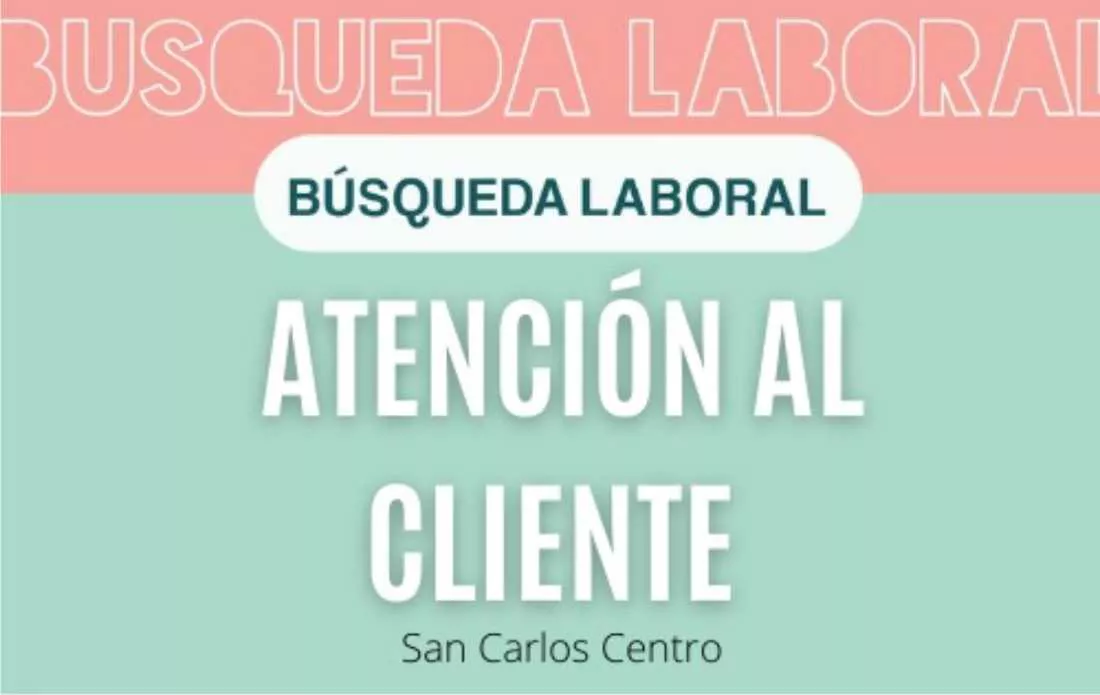 29122021-busqueda