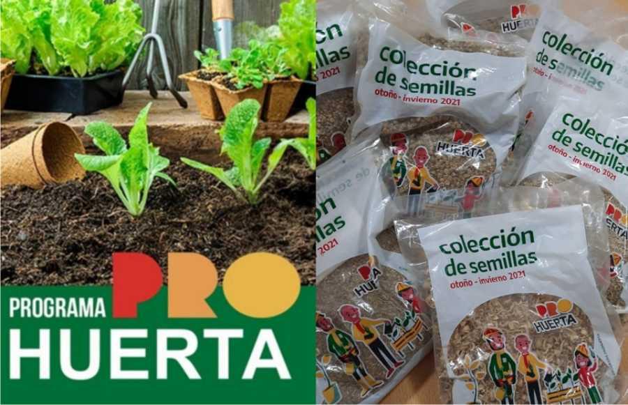 22032021-huerta