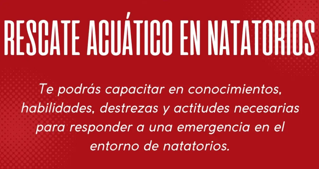 Imagen de WhatsApp 2025-12-12 a las 07.39