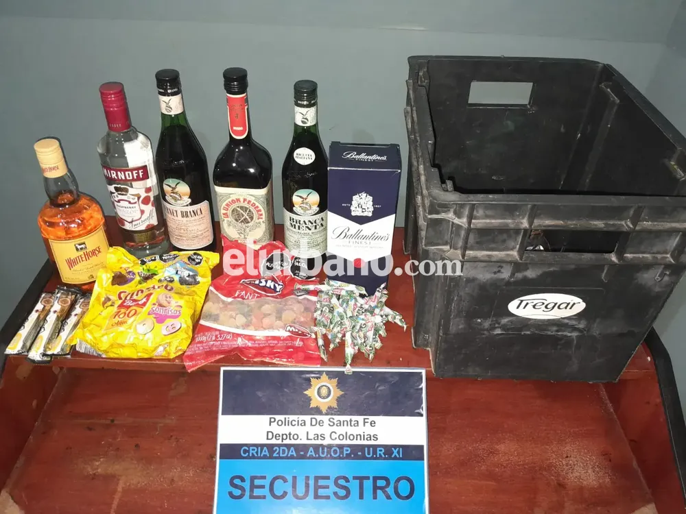 WhatsApp Image 2024-11-13 at 04.15.16