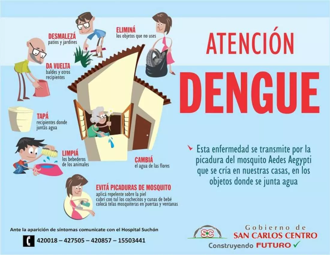 28122021-dengue