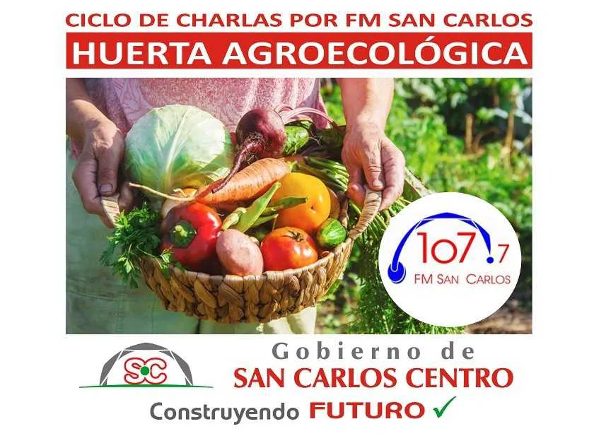 29052023-huerta