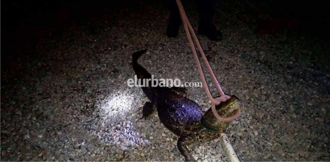 05092020-rescate