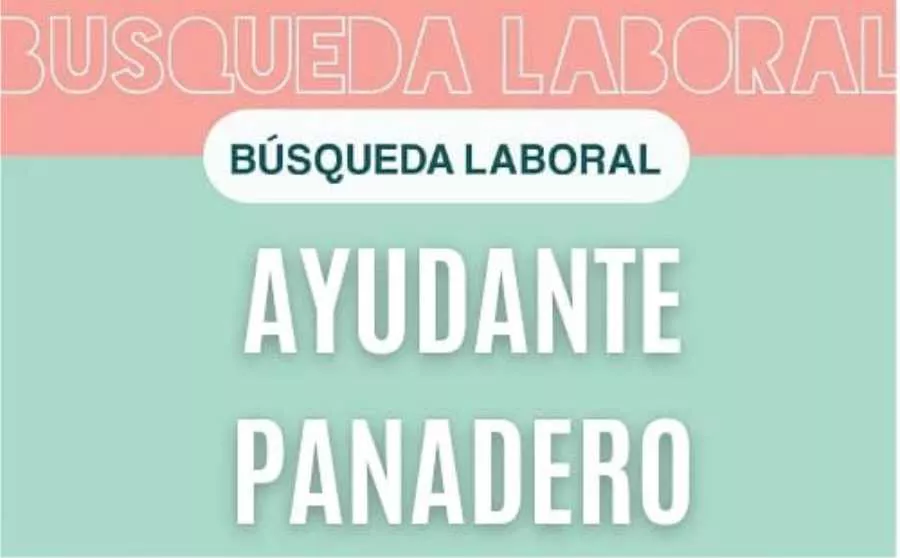 19082021-busqueda