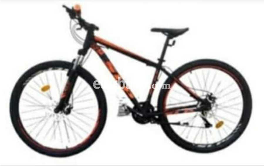 06022021-bici