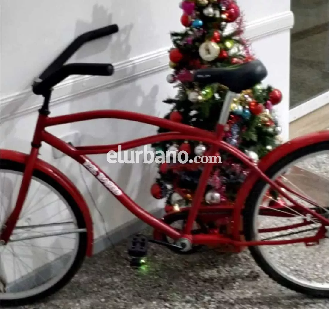 13122021-bici2