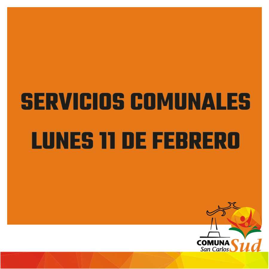 08022019-servicios