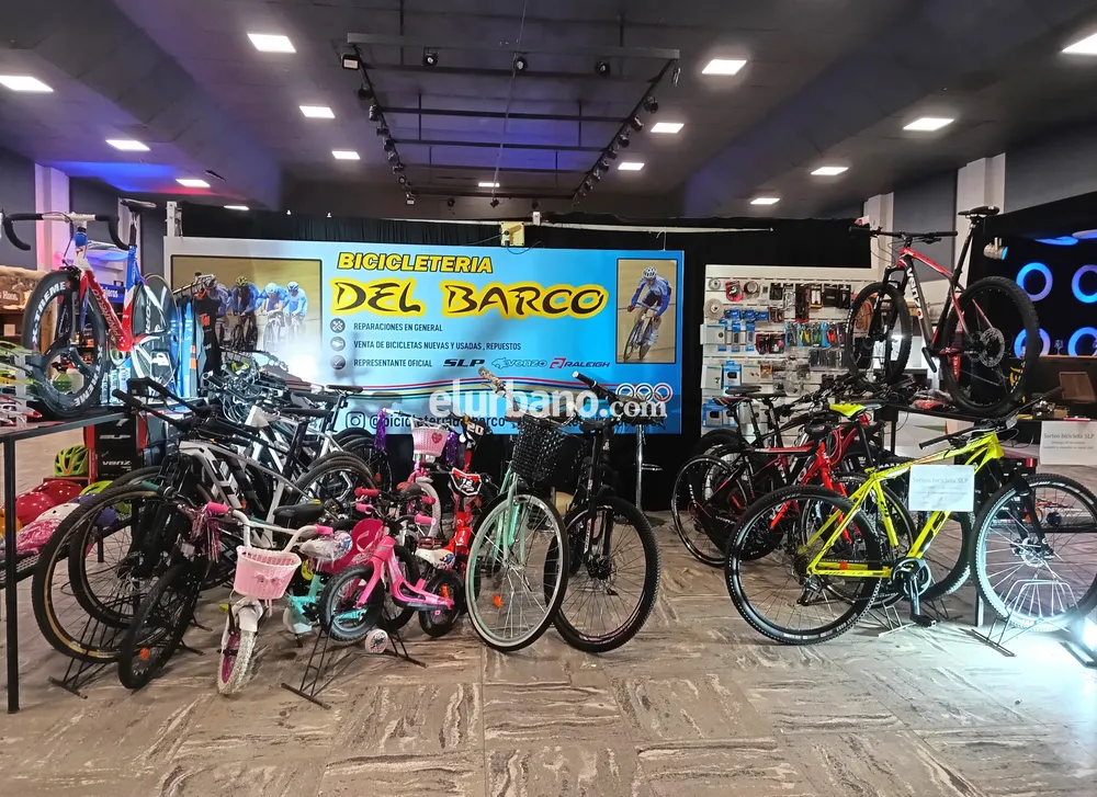 IMG_20241004_204524421_HDR