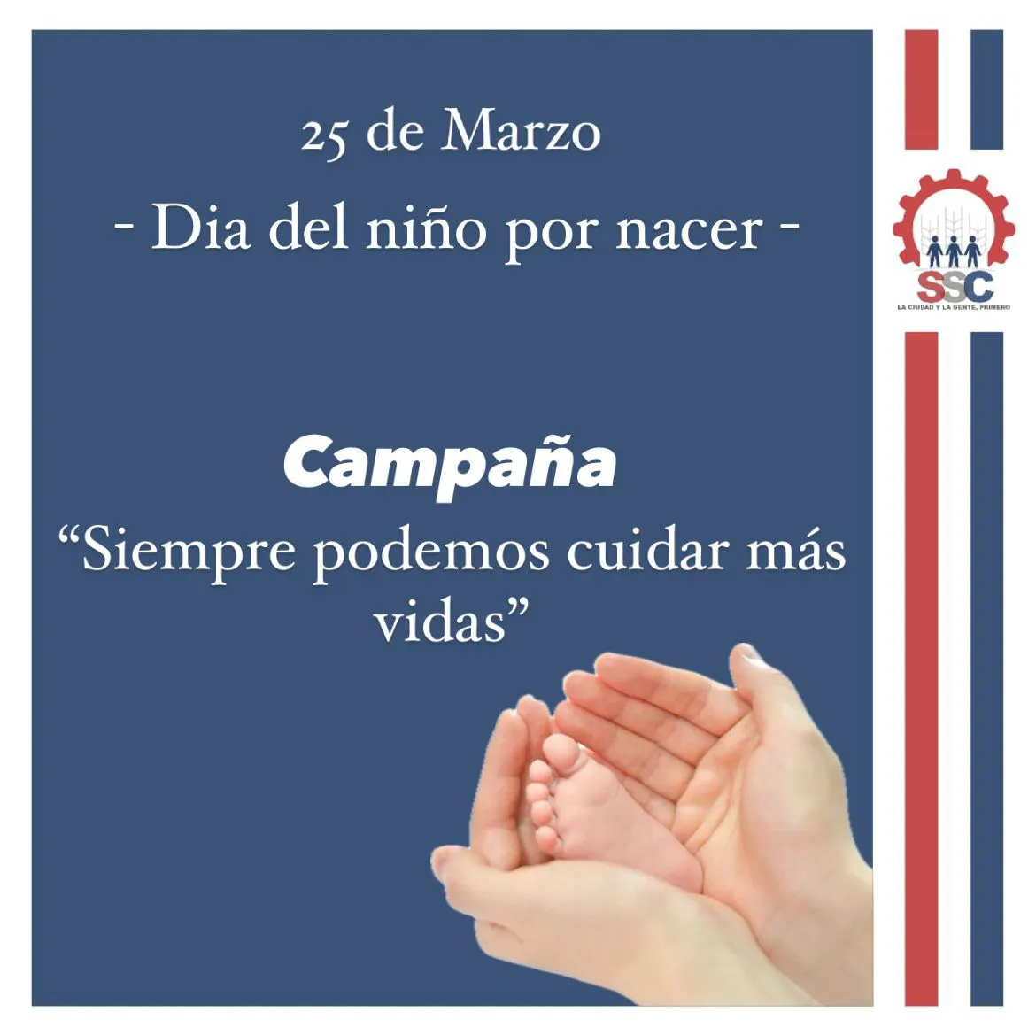Imagen de WhatsApp 2024-03-19 a las 07.43.10_3f187cc1