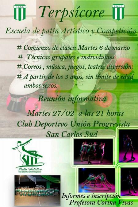 26022018-patin