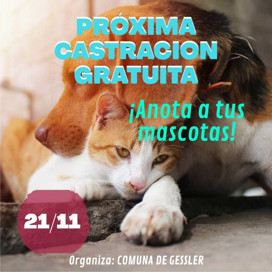 06112020-comuna