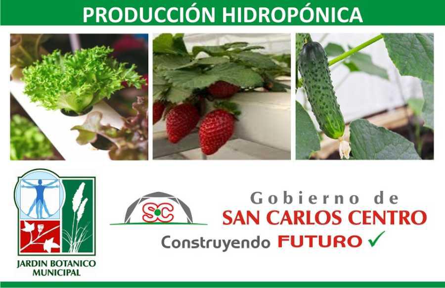 14012021-produccion