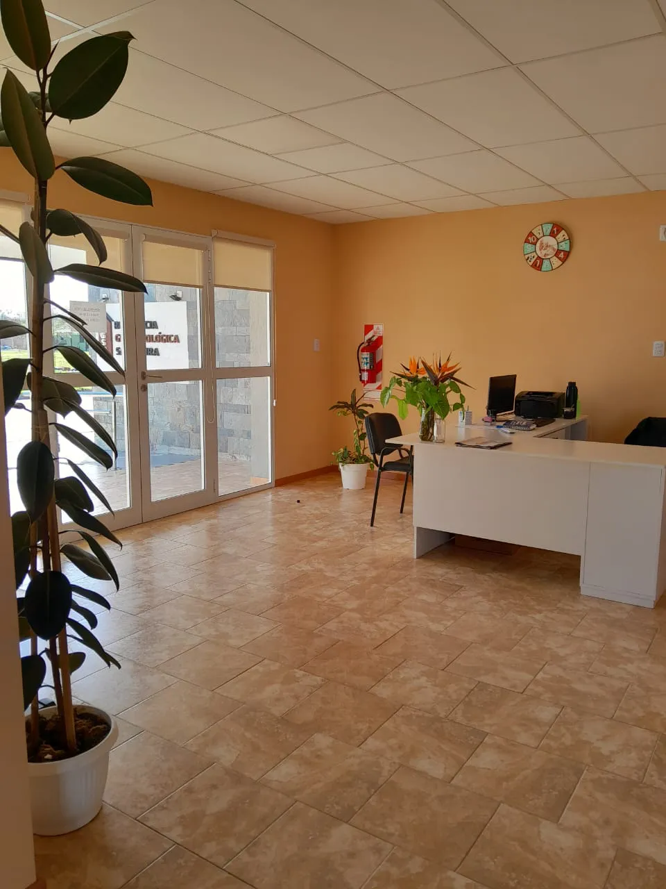 Imagen de WhatsApp 2024-07-03 a las 10.32.01_7de7d8b6