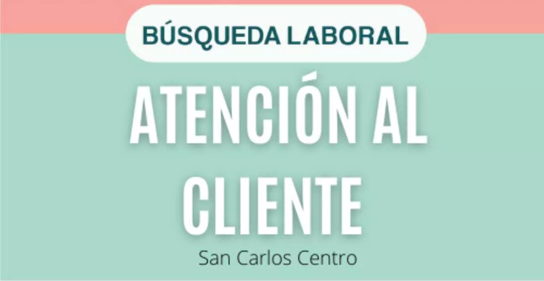 08112021-busqueda