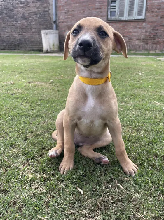 448931903_748631550818714_2896617377990786176_n