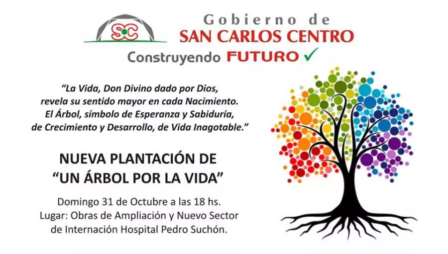 21102021-arbol