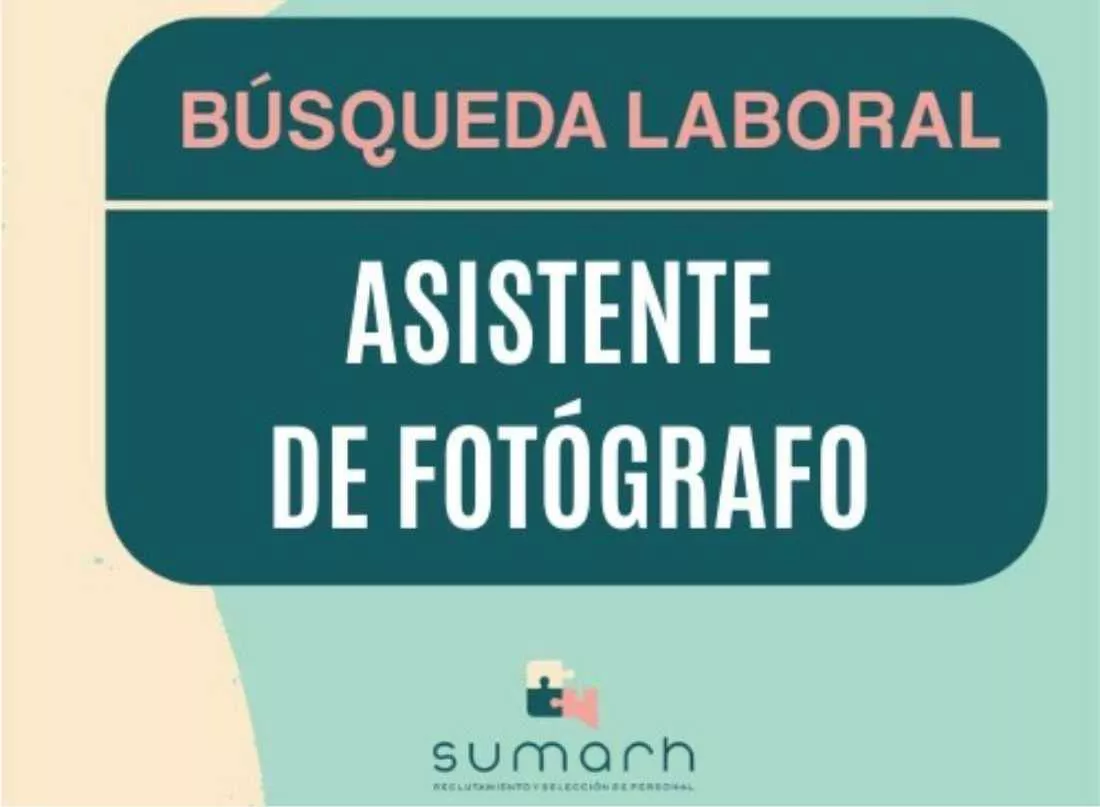 15112021-busqueda
