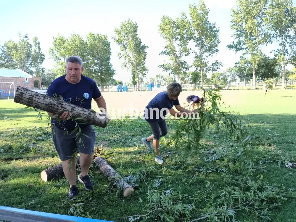 Imagen de WhatsApp 2024-12-07 a las 10.28.24_2be420a9