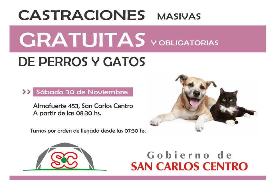 28112019-castraciones