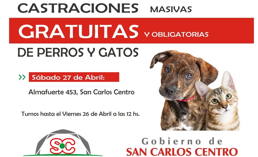 25-04-2024-castraciones