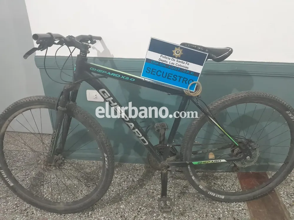 WhatsApp Image 2024-12-01 at 11 42 04