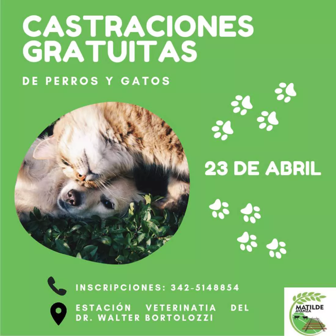 06042022-catraciones