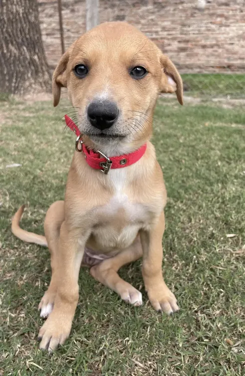 448929341_748631424152060_2000950973042550164_n