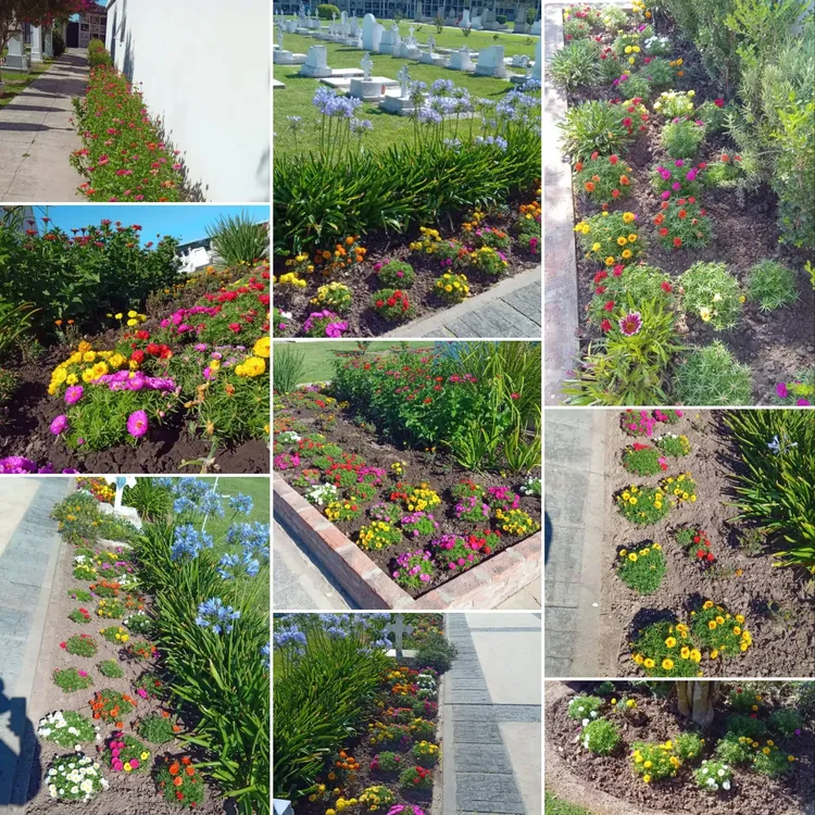 CEMENTERIO