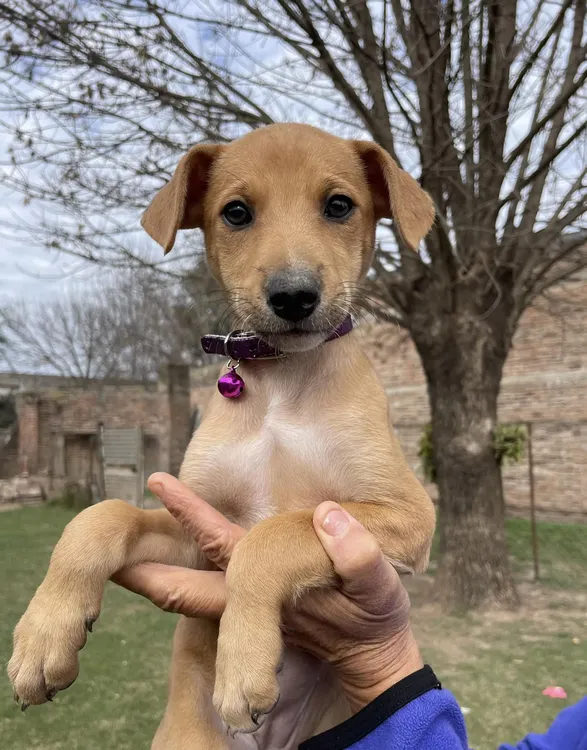 448926458_748631350818734_8542342651422524946_n