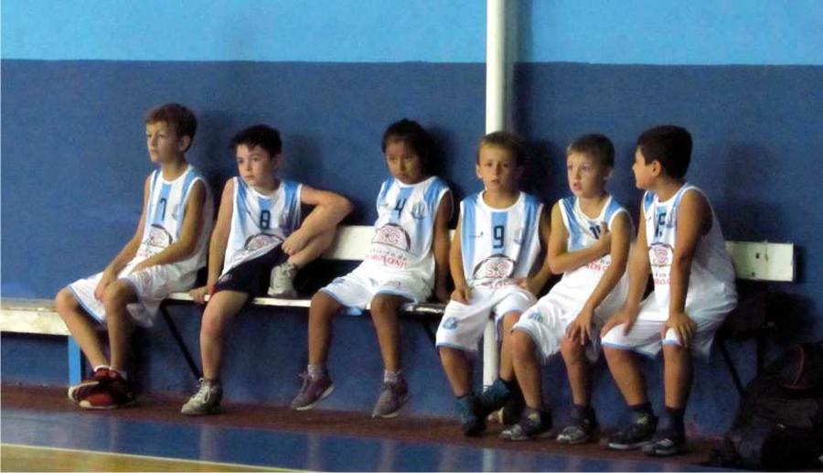 20042018-basket-caa