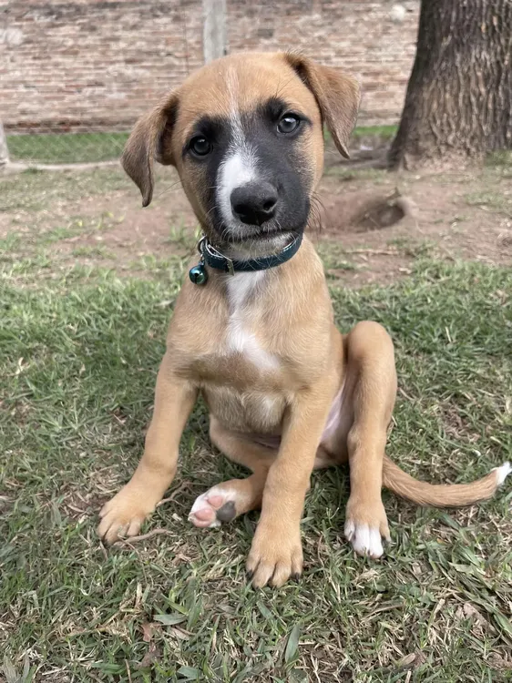 448928564_748631344152068_5387209186951976239_n