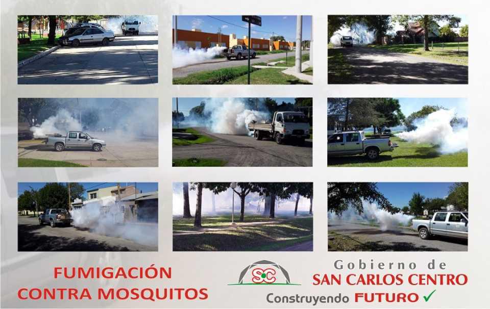 25032020-fumigacion