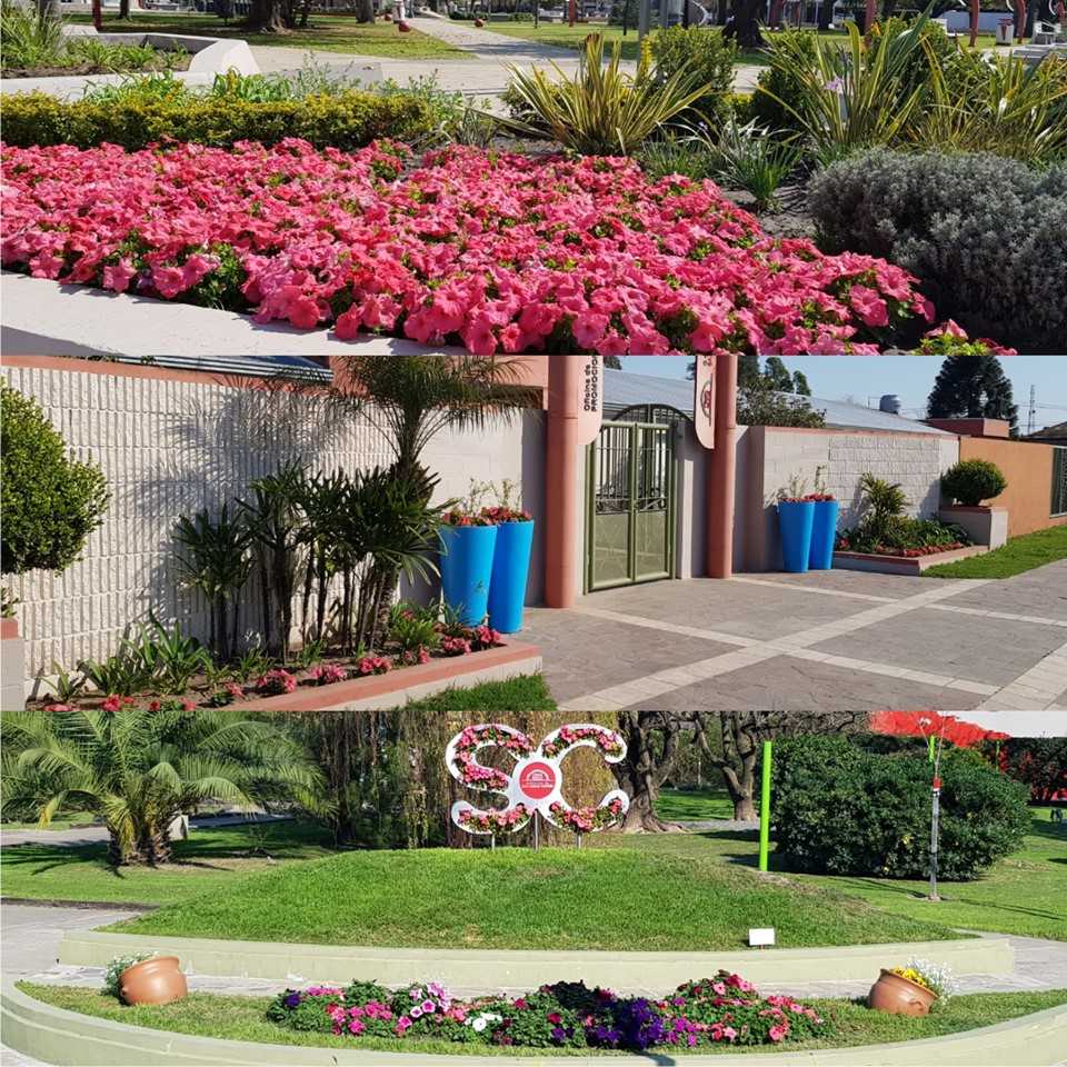 20092019-primavera