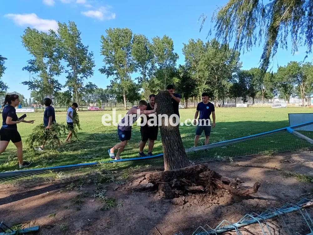 Imagen de WhatsApp 2024-12-07 a las 10.29.38_6f5d8d65