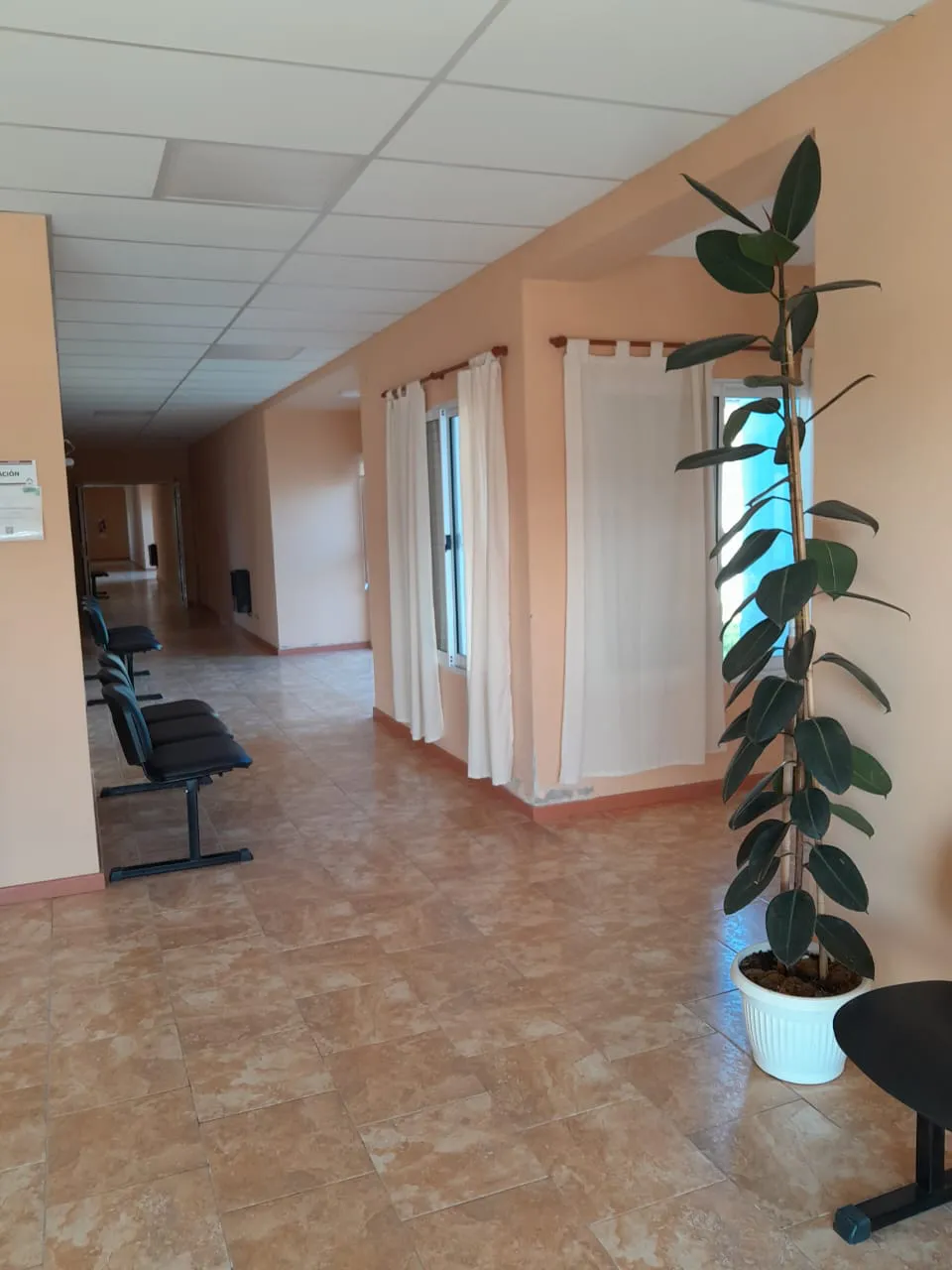 Imagen de WhatsApp 2024-07-03 a las 10.31.58_d37ded24