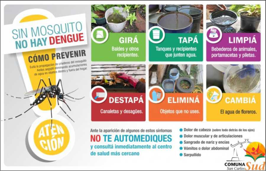 26082020-dengue