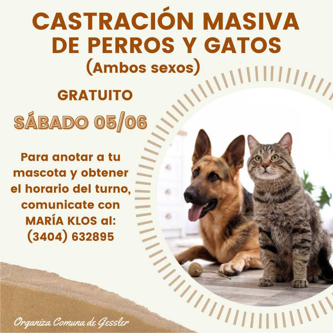 31052021-catracion