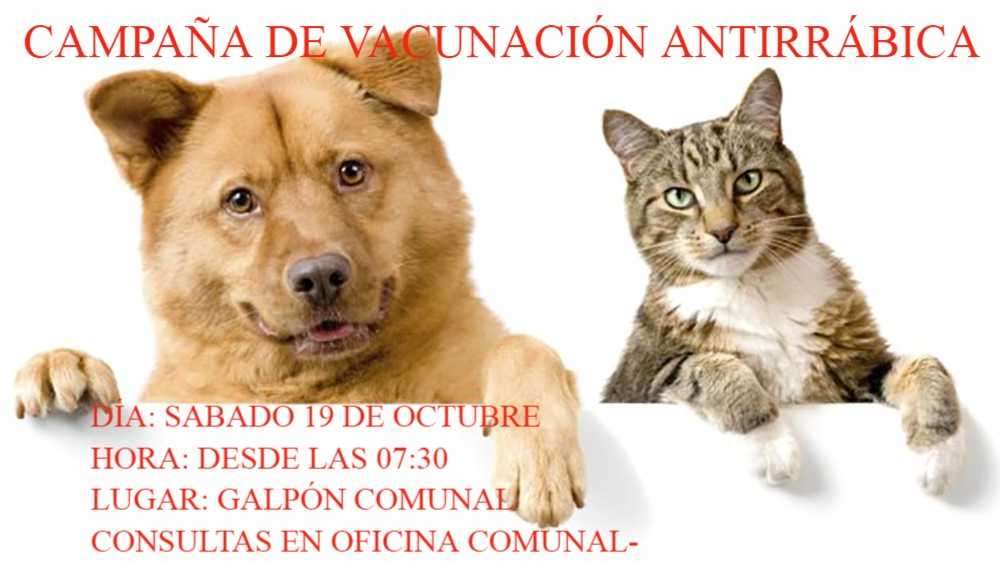 07102019-norte