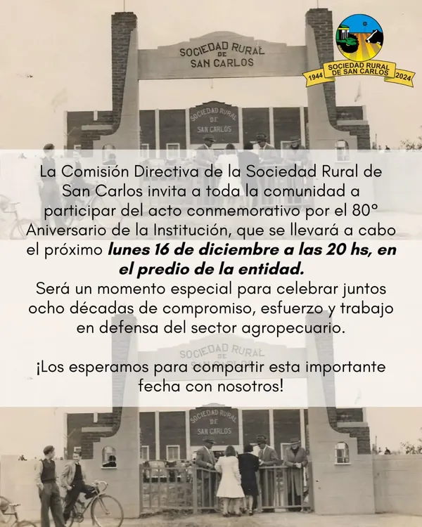 Imagen de WhatsApp 2024-12-12 a las 12.11.59_317f5699