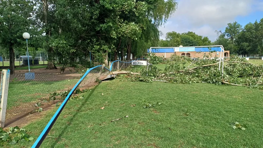 Imagen de WhatsApp 2024-12-06 a las 11.49.40_03cff26b