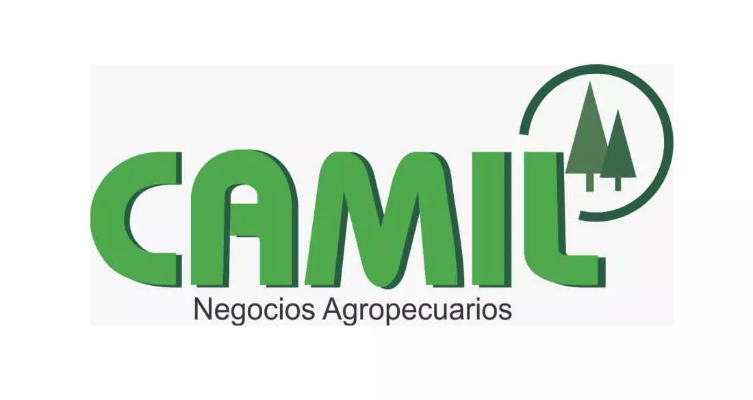 07122021-camil2