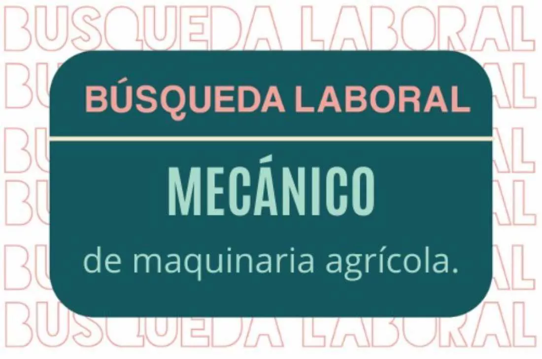 21122021-mecanico