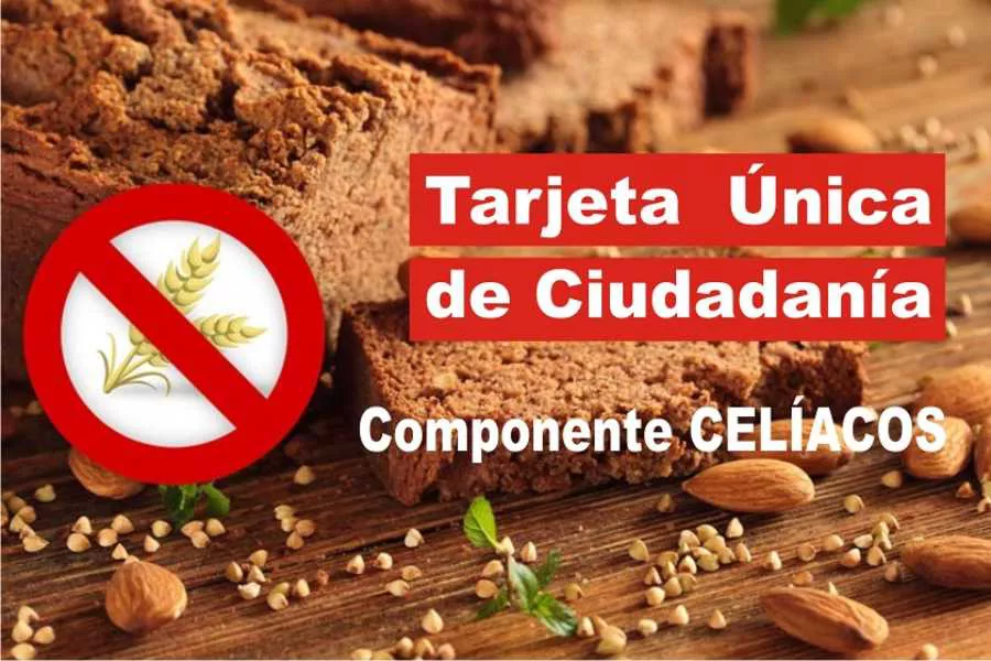 30122021-informe