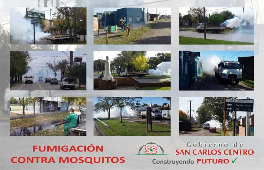 27052020-mosquitos