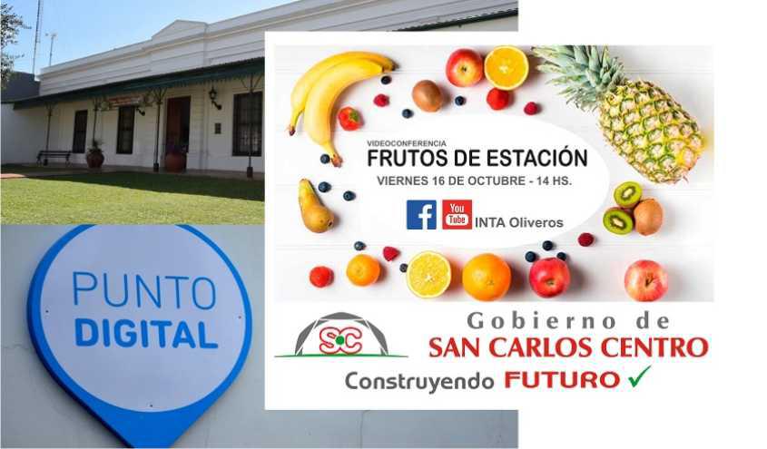 15102020-frutos