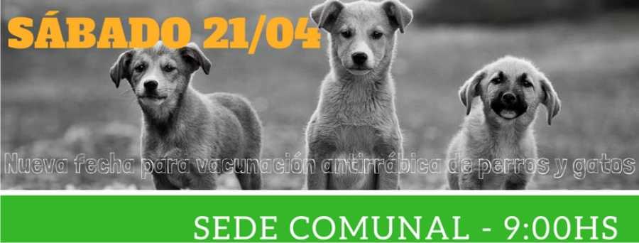 15042018-campaña-gessler